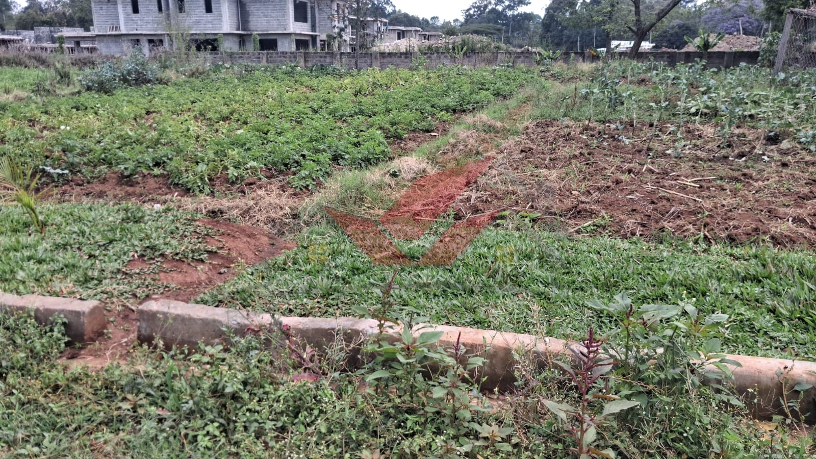 Flat half-acre residential land for sale in Windyridge Karen featuring rich red soil and mature indigenous trees with a ready title deed .