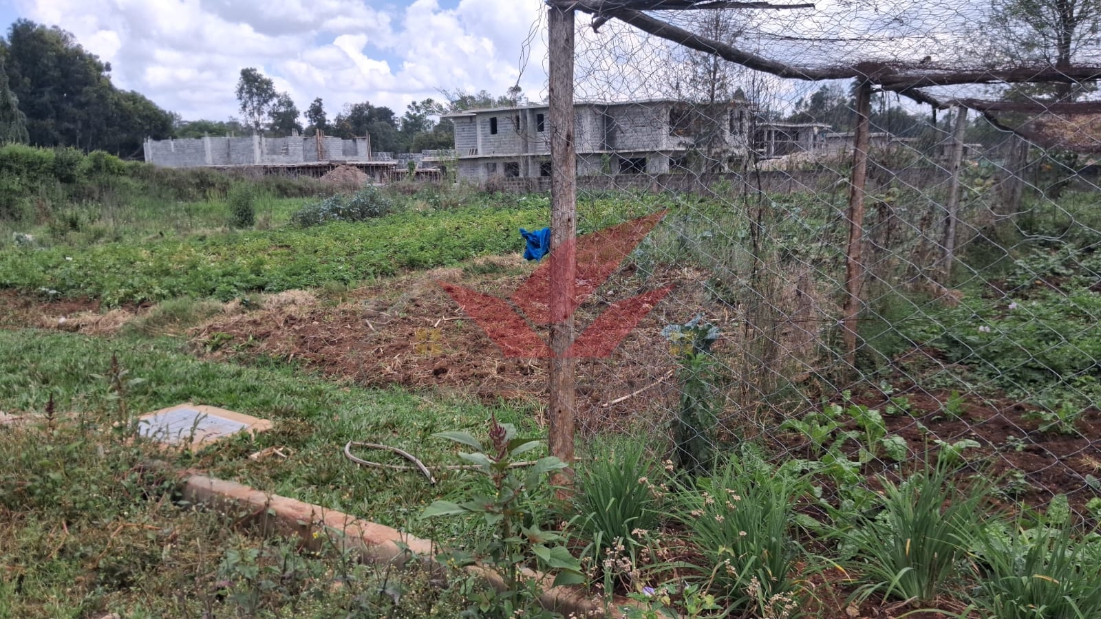 Flat half-acre residential land for sale in Windyridge Karen featuring rich red soil and mature indigenous trees with a ready title deed .