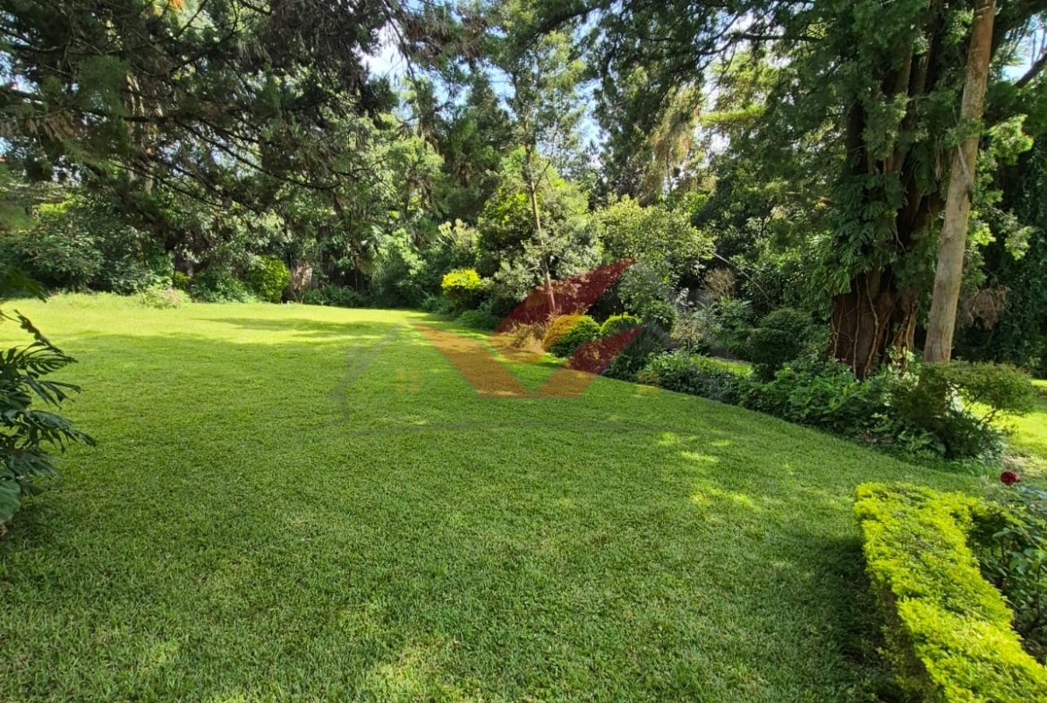 Prime half acre land for sale in Loresho Nairobi flat red soil with mature trees.