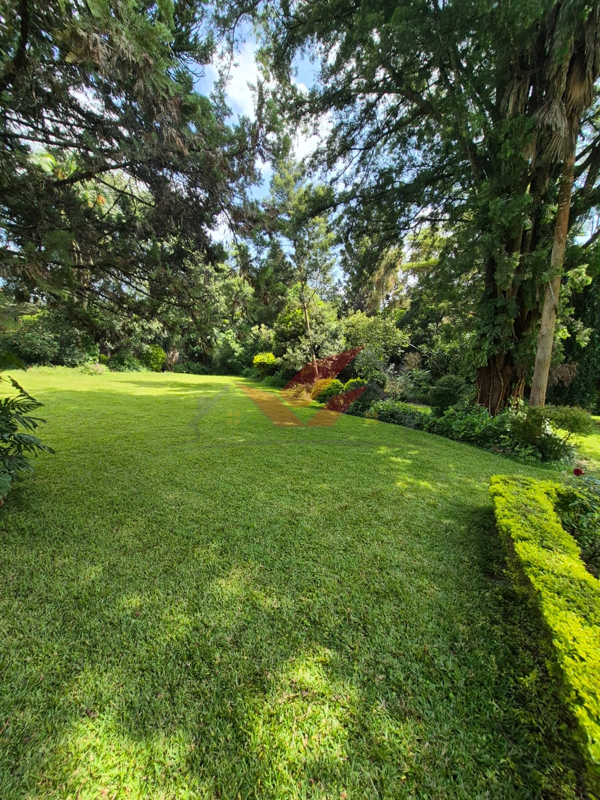 Prime half acre land for sale in Loresho Nairobi flat red soil with mature trees.