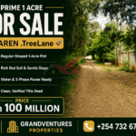 Prime 1-Acre Commercial or Residential Land for Sale on Tree Lane, Karen