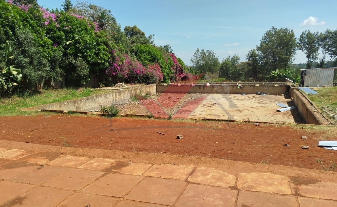 Prime 1-Acre Commercial or Residential Land for Sale on Tree Lane, Karen