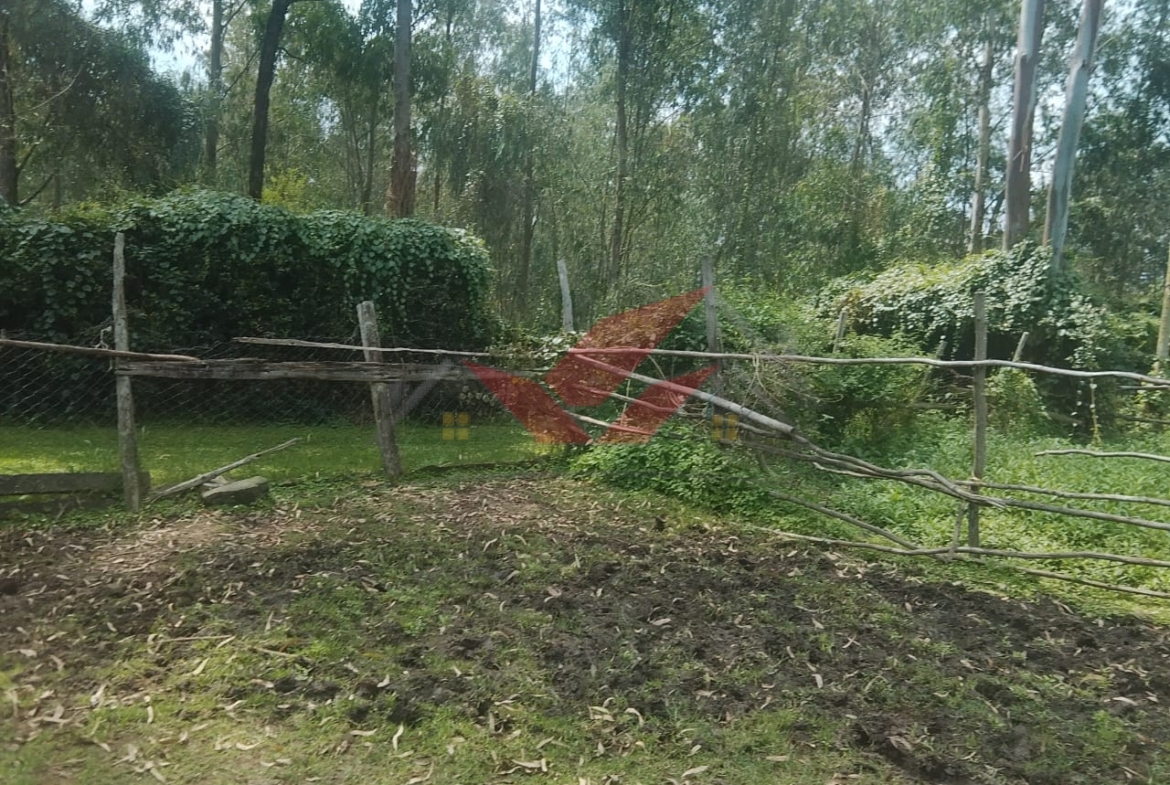 Prime 1-acre residential land for sale along Ndege Road, Karen. Features majestic mature trees and excellent proximity to Karen Hospital. Perfect for a luxury villa.