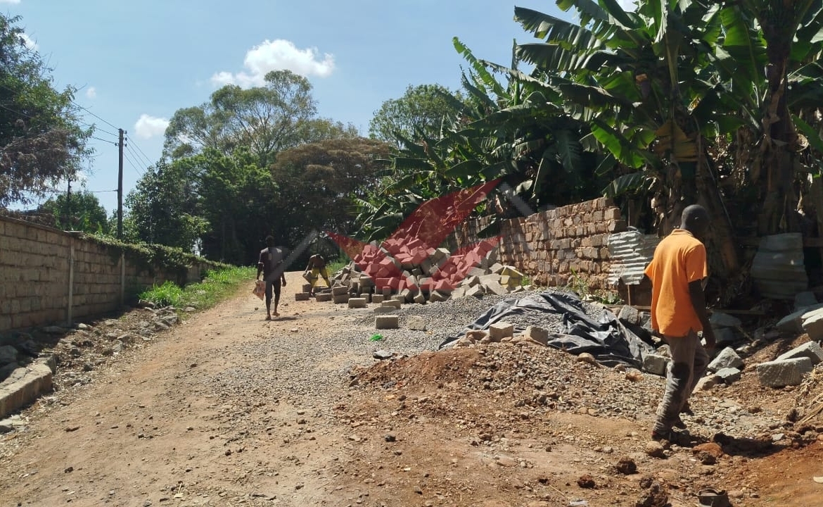 Prime 1-Acre Commercial or Residential Land for Sale on Tree Lane, Karen
