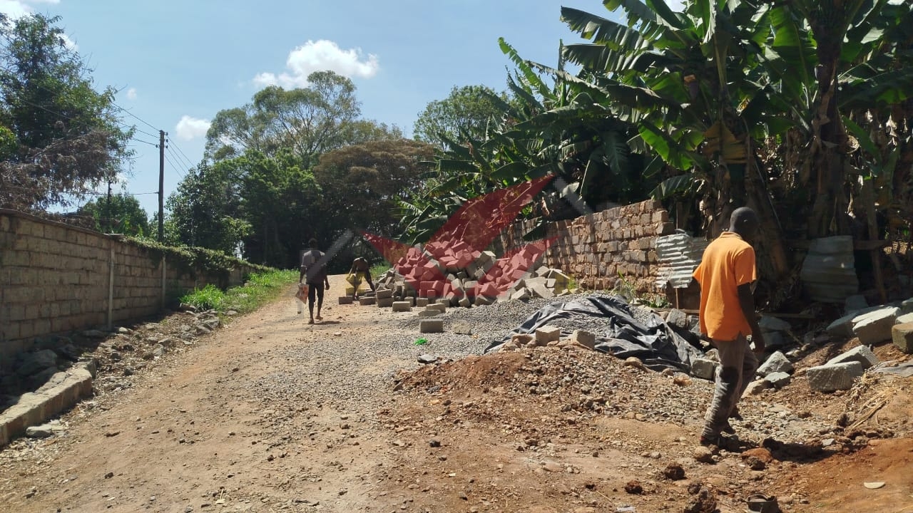 Prime 1-Acre Commercial or Residential Land for Sale on Tree Lane, Karen
