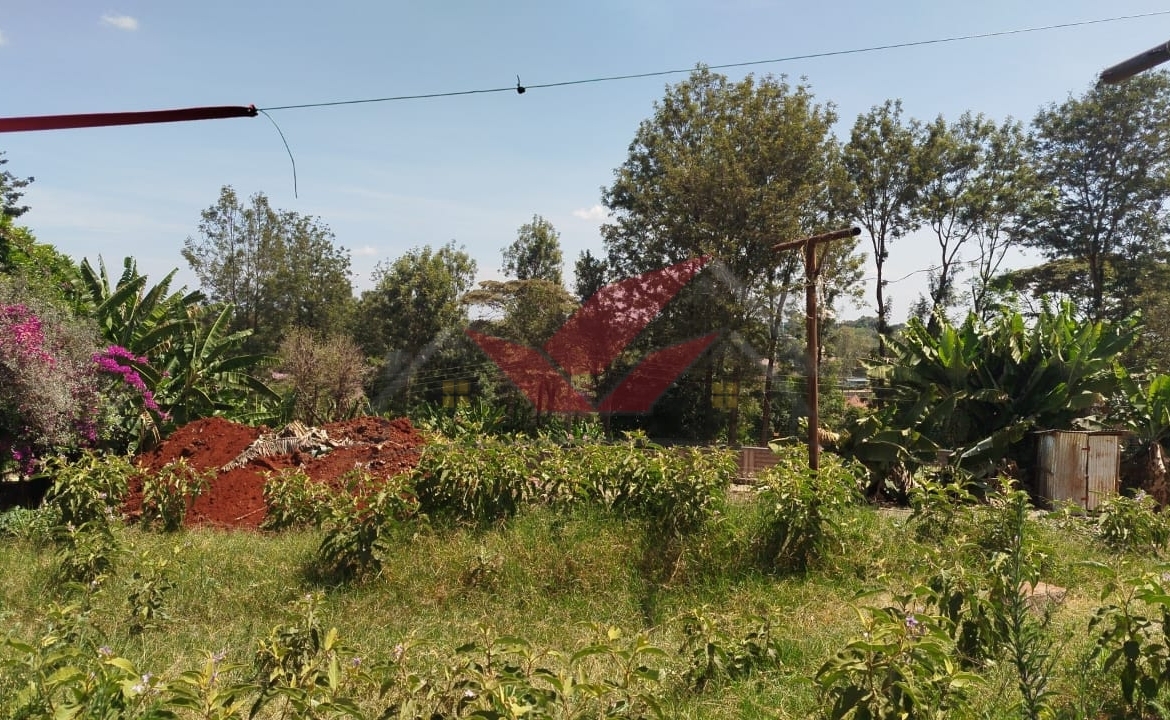 Prime 1-Acre Commercial or Residential Land for Sale on Tree Lane, Karen