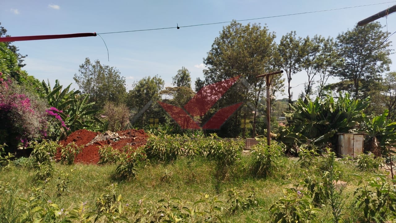 Prime 1-Acre Commercial or Residential Land for Sale on Tree Lane, Karen