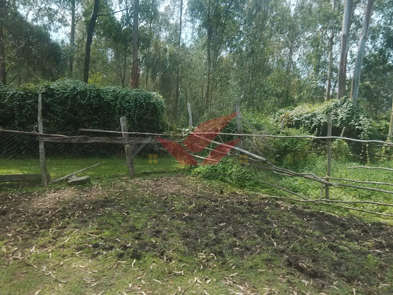 Prime 1-acre residential land for sale along Ndege Road, Karen. Features majestic mature trees and excellent proximity to Karen Hospital. Perfect for a luxury villa.