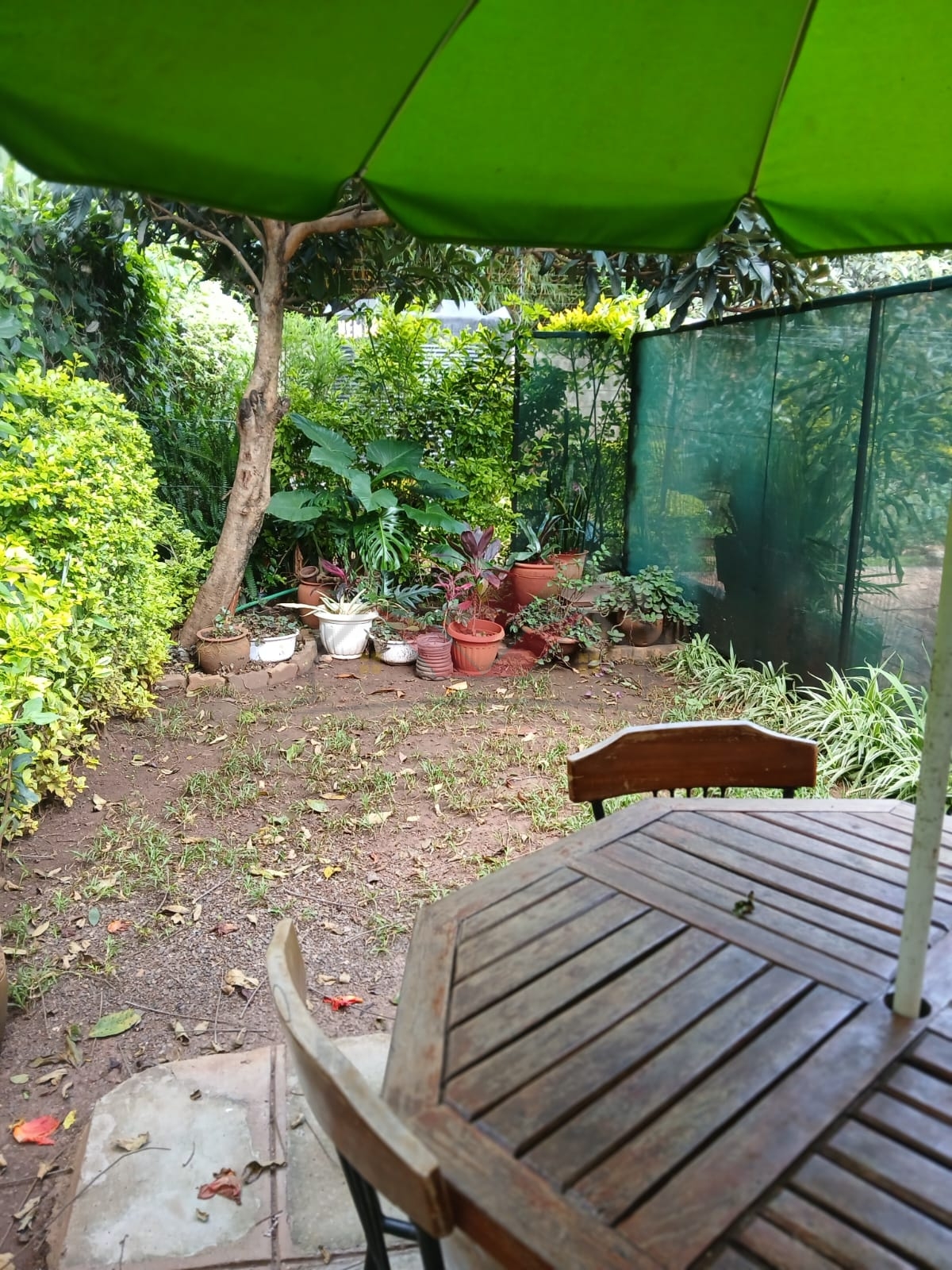 Cozy fully furnished living room and bedroom of a 1-bedroom rental cottage in Miotoni Karen Nairobi.